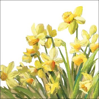 Tovaglioli Ambiente Golden Daffodils 33 x 33 cm